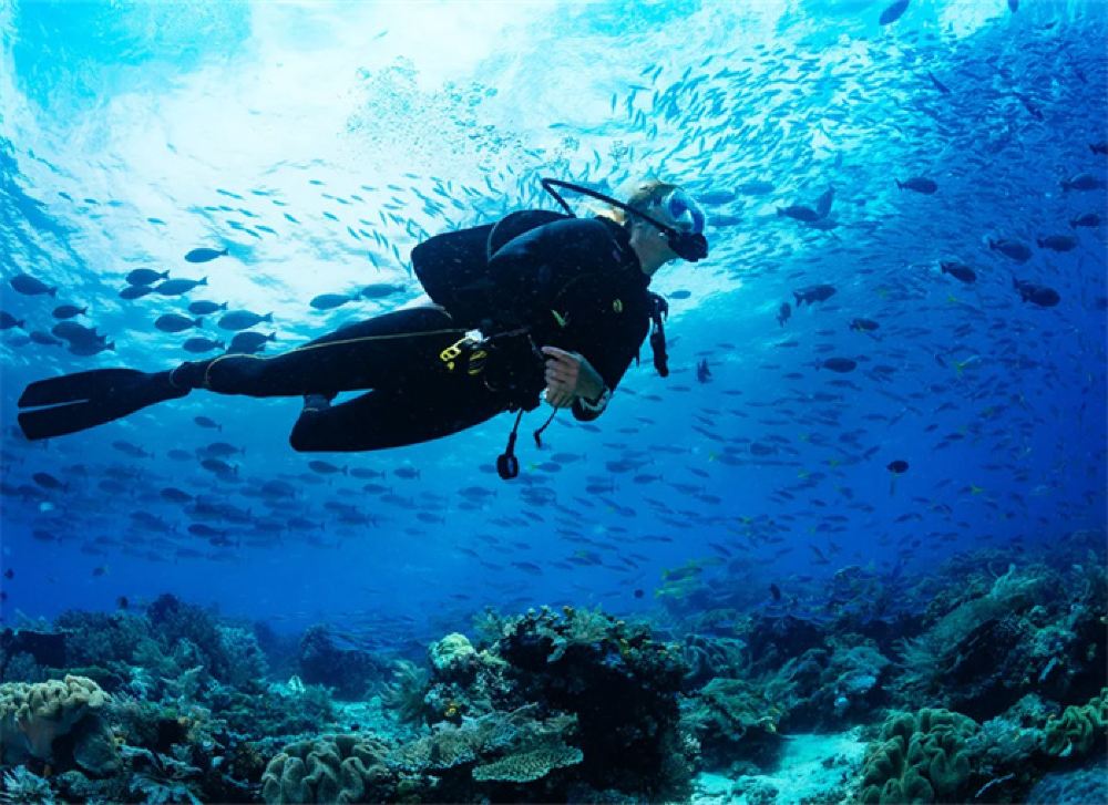 0356i12000e02zq8q4559 z 1000 0